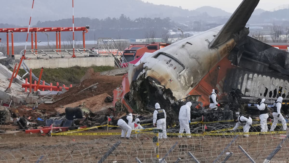Questions over airport embankment, bird strikes as South Korea’s Jeju Air crash probed Questions over airport embankment, bird strikes as South Korea’s Jeju Air crash probed
