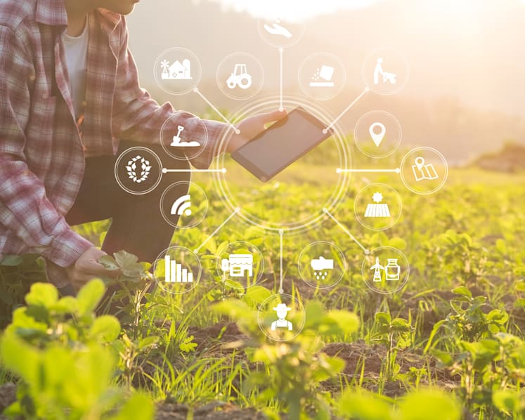 Shaping a more sustainable and secure food future for all