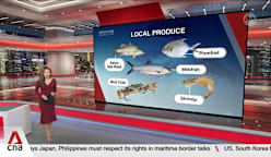 SFA, SIT set up new R&D centre focused on fish feed to increase yield