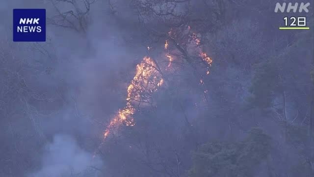 日本东京附近林火持续蔓延
