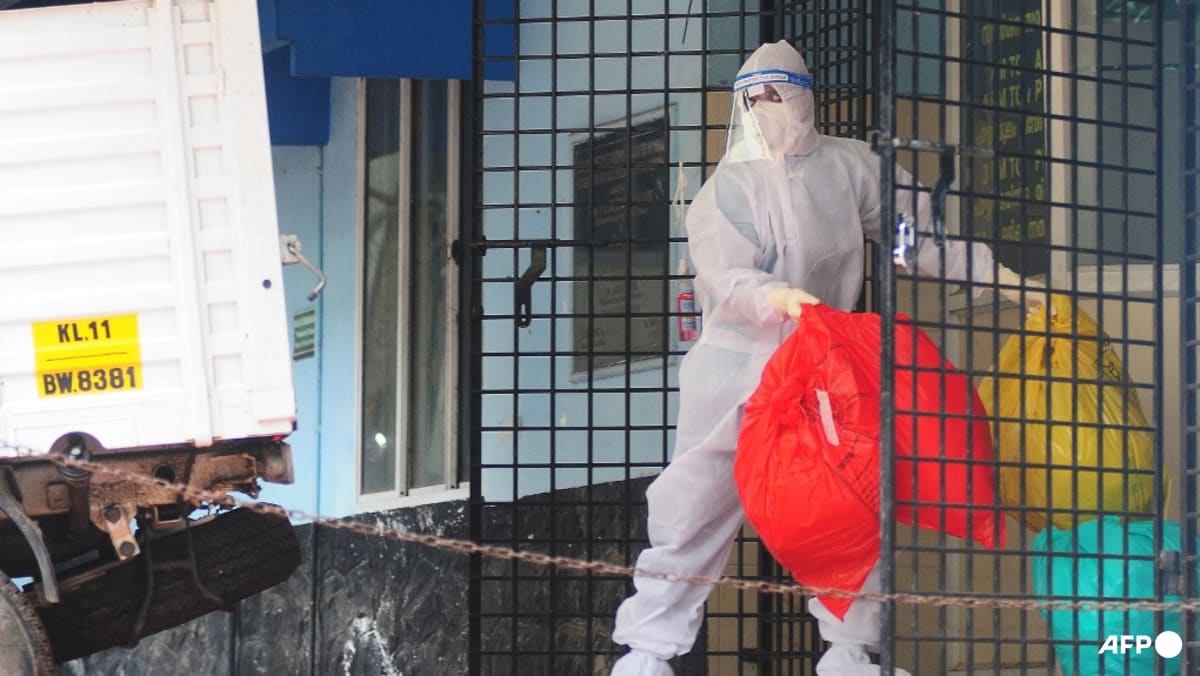 Nipah virus: Singapore closely monitoring global situation, prepared to adjust public health measures