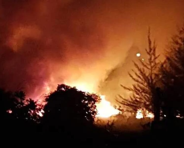 Vegetation fire the size of 2 football fields breaks out near East Coast Park