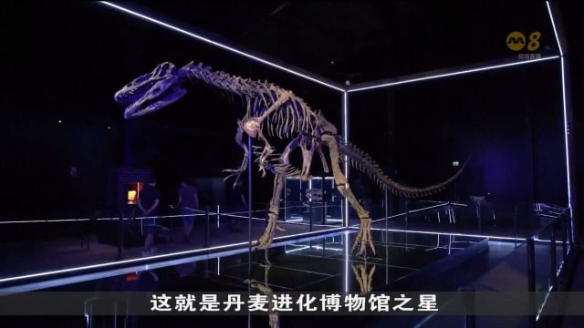 丹麦动物园带访客穿越时空 见证动物进化