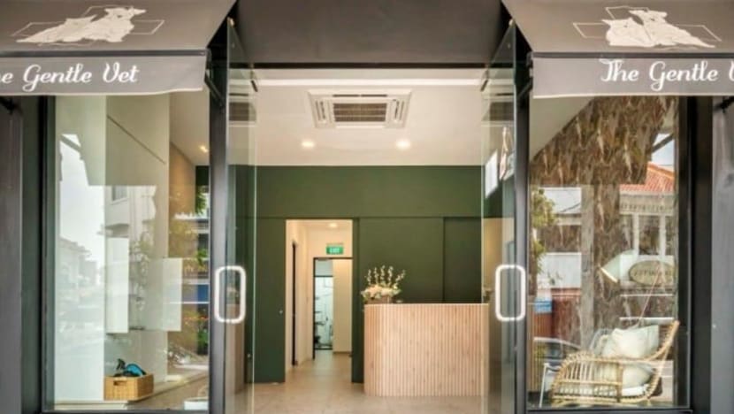 Dampingi hewan tercinta di ujung usianya: Klinik ini pastikan perawatan paliatif untuk peliharaan renta   