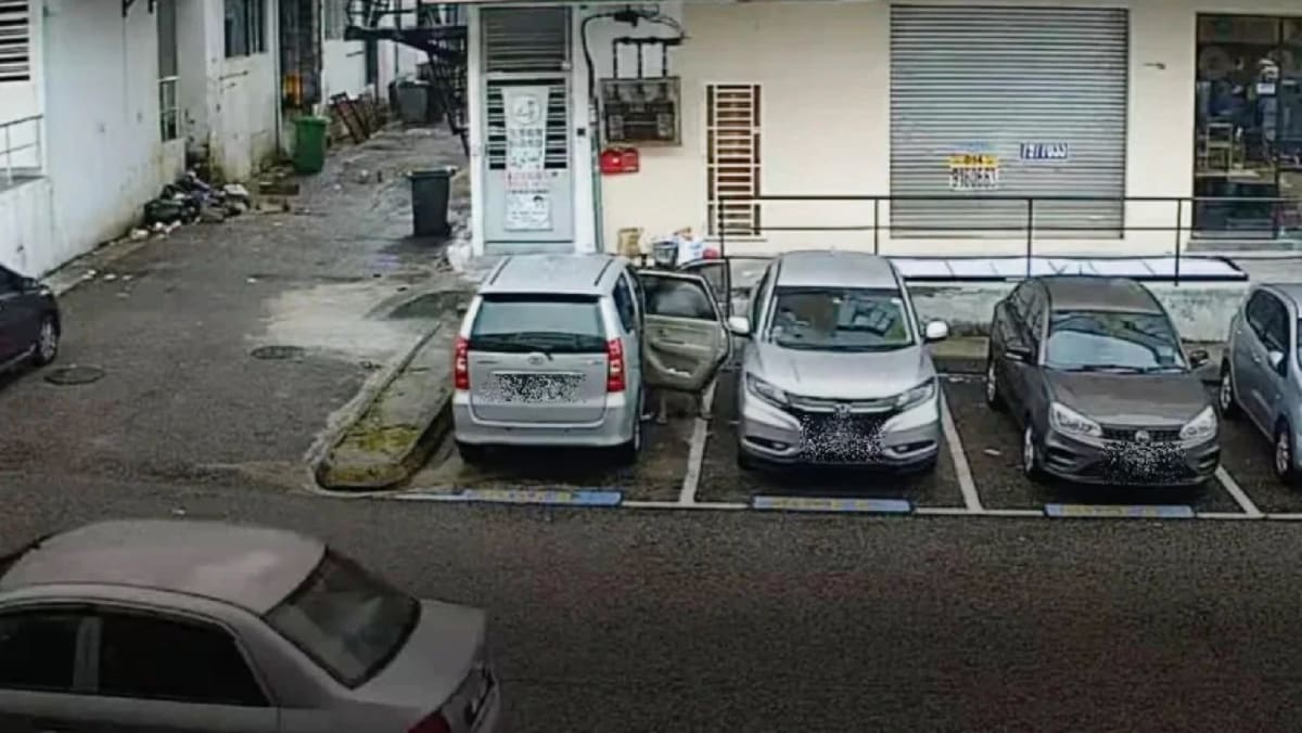 Woman Caught On CCTV Urinating Next To Her Car In Carpark In Johor 8days woman-caught-on-cctv-urinating-next-to-her-car-in-carpark-in-johor-8days