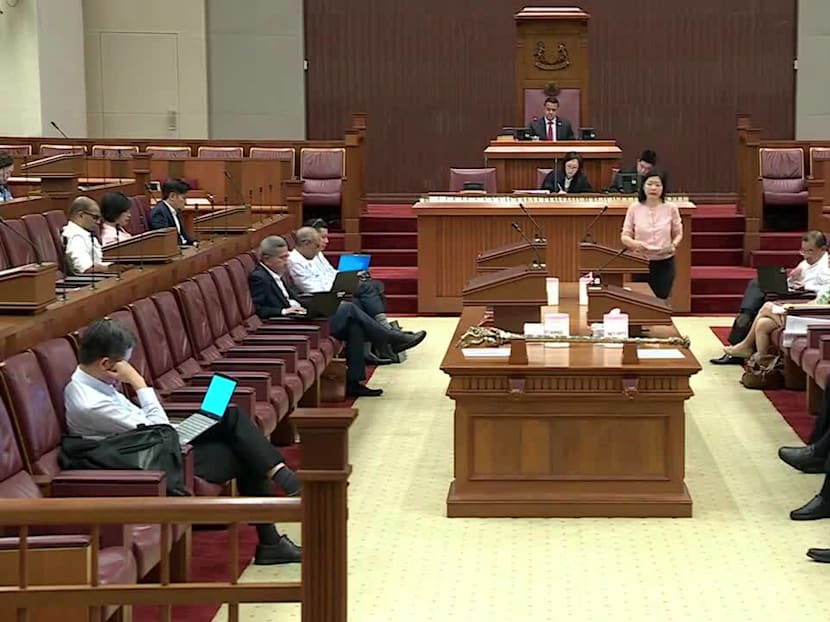 PAP MPs raise concerns about protecting family values and social policies as Parliament moves to decriminalise gay sex