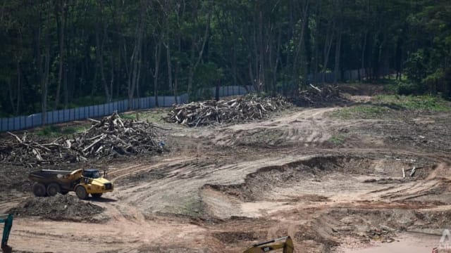 裕廊集团职员前上司认非法清除克兰芝林地