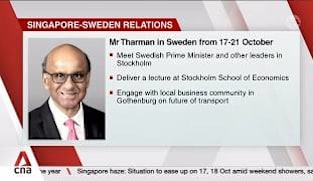 Singapore-Sweden relations: President Tharman's Sweden trip marks first state visit 