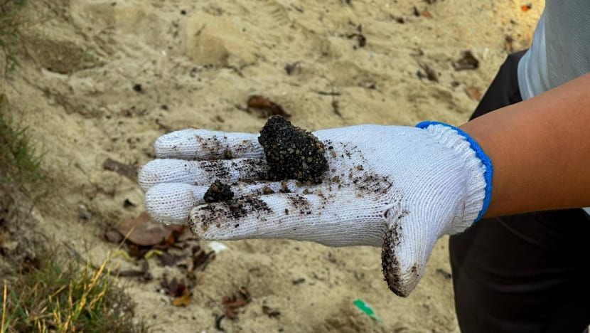 Singapore oil spill beach clean-up progressing 'faster than expected': Grace Fu