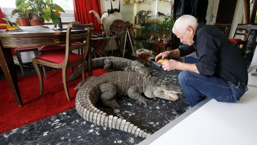 Related article image