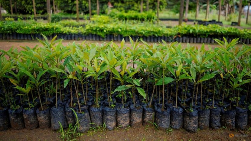 Carbon removal needs to quadruple to meet climate goals, researchers say Carbon removal needs to quadruple to meet climate goals, researchers say