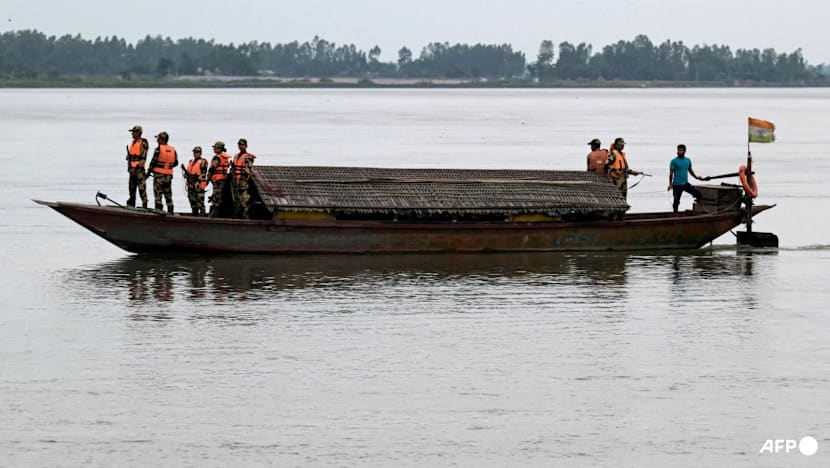India mulls releasing snakes, crocodiles along Bangladesh border to deter unauthorised crossings