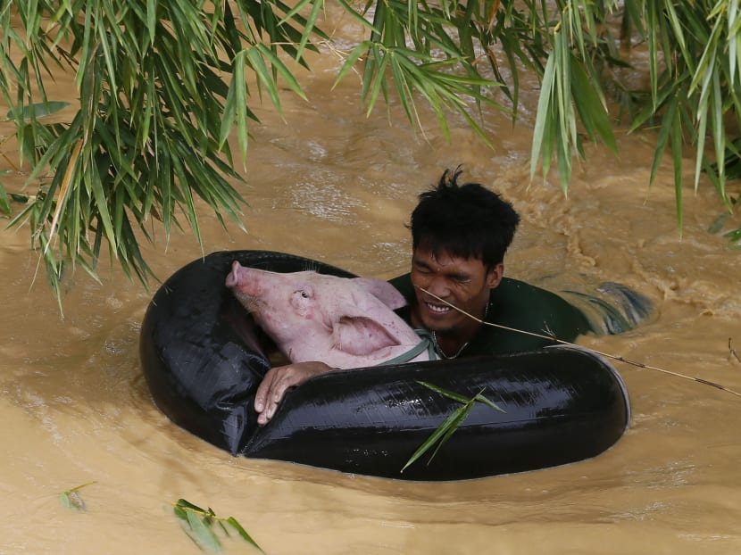 Typhoon leaves 11 dead, Filipino villagers saved from flood
