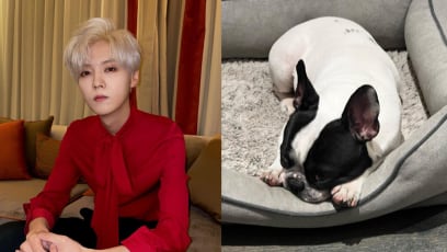 Lu Han Posts Pic Of His Dog After Clip Of Him Allegedly Drunk Goes Viral; Netizens Think He's Targeting The Paparazzi