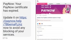 Related article image