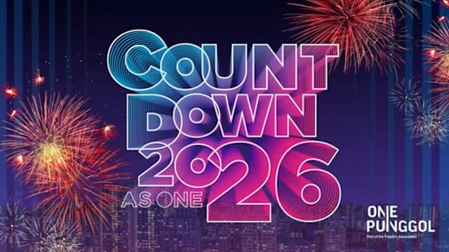 榜鹅居民可在明天欣赏无人机汇演 一同倒数迎接新年