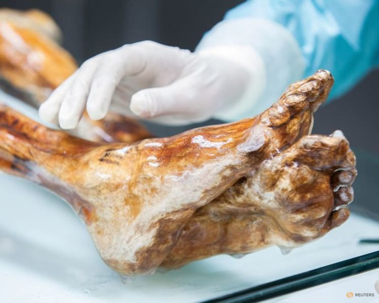 Scientists reveal Ötzi the Iceman's dynamic microbial world