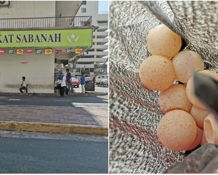 Turtle eggs are being sold openly in Sabah, and tourists are partly to blame