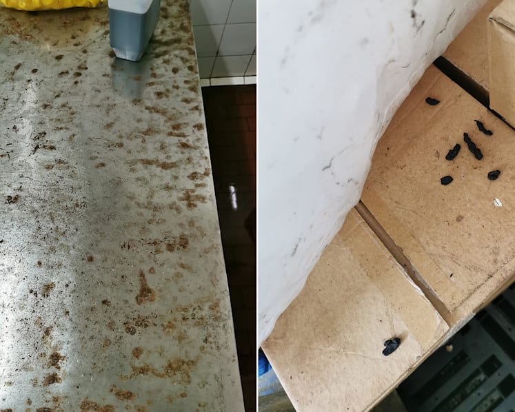 Food processing company fined S$15,000 after rat droppings found in storage, processing areas