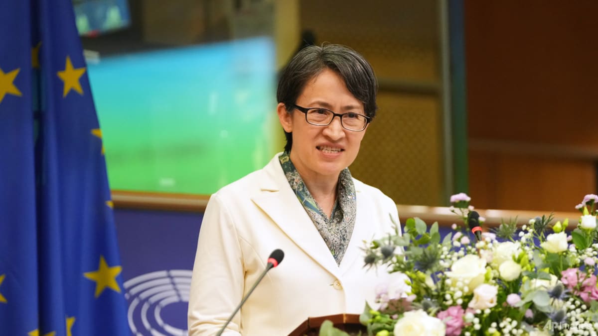 Taiwan's Vice-President Hsiao makes rare address to international lawmakers at European Parliament