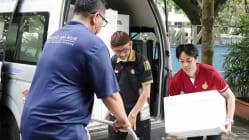 Related article image
