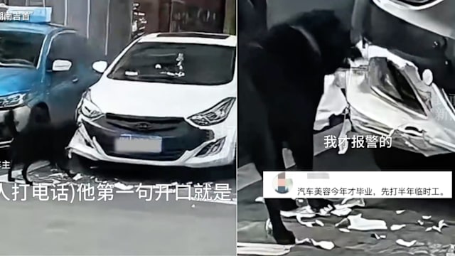 爱车被狗啃到面目全非 中国女车主从难以置信到哭笑不得