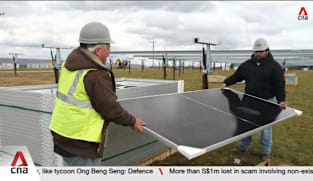 American solar industry powers through despite Trump's policy reversals