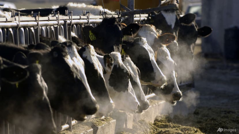 The way we eat could add nearly 1 degree of warming by 2100