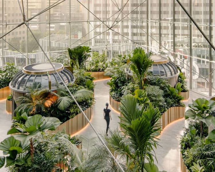 This refurbished space in Orchard Road is basically an office set in a garden
