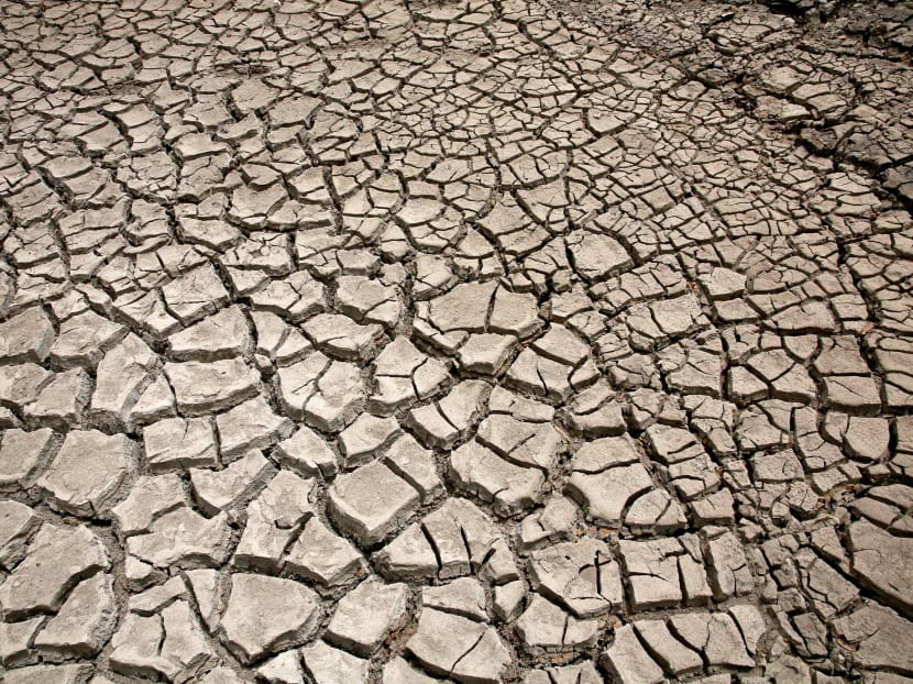 Cracked ground is pictured at the dried Ajuan Khota dam, a water reserve affected by drought near La Paz, Bolivia, in this November 17, 2016 file photo. Photo: Reuters