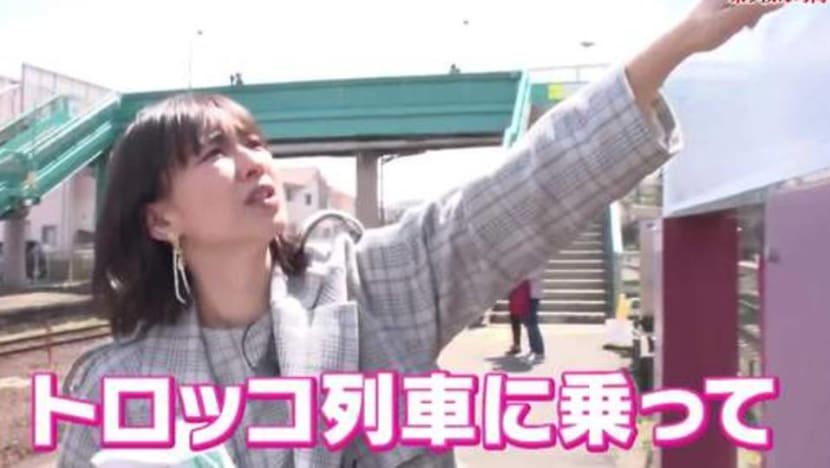 Road Trip to Shizuoka (Part 2)