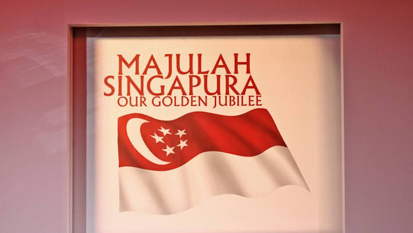 Aerial tribute to Mr Lee among NDP highlights