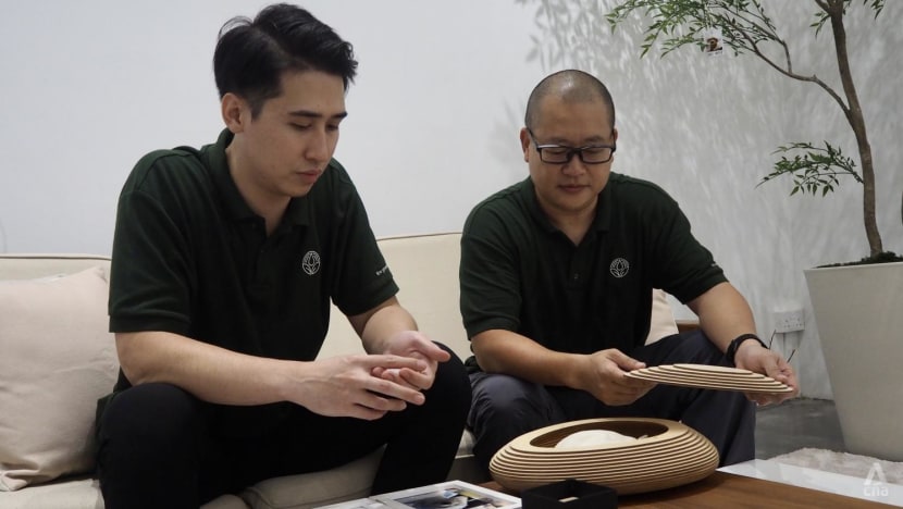 No fire, just water: New pet cremation service is first to use aquamation in Singapore