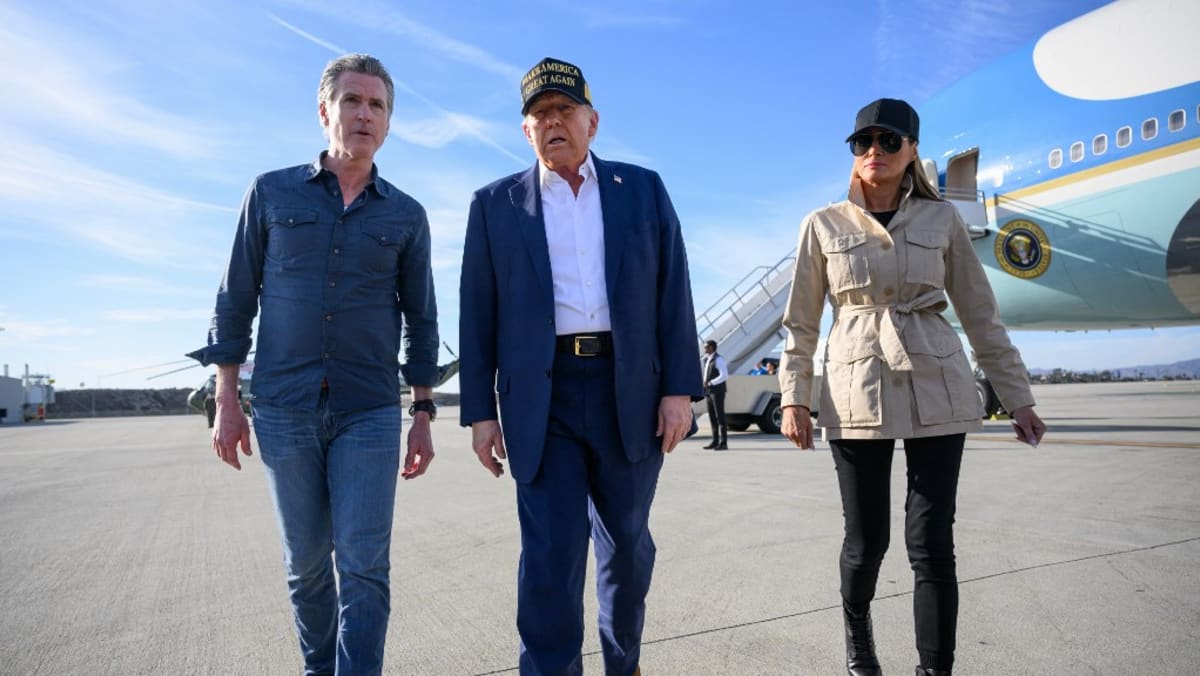 Trump fires at least 12 internal government watchdogs: Reports