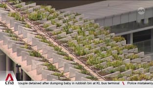 World Cities Summit: Urban leaders look beyond greenery to build resilience in a hotter world 