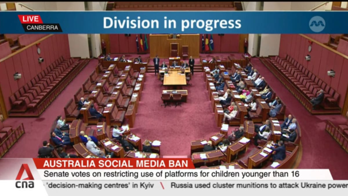 Australia passes world's first social media ban for children under 16 - CNA