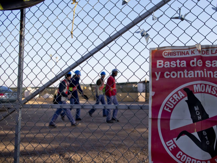 Argentines link health problems to agrochemicals