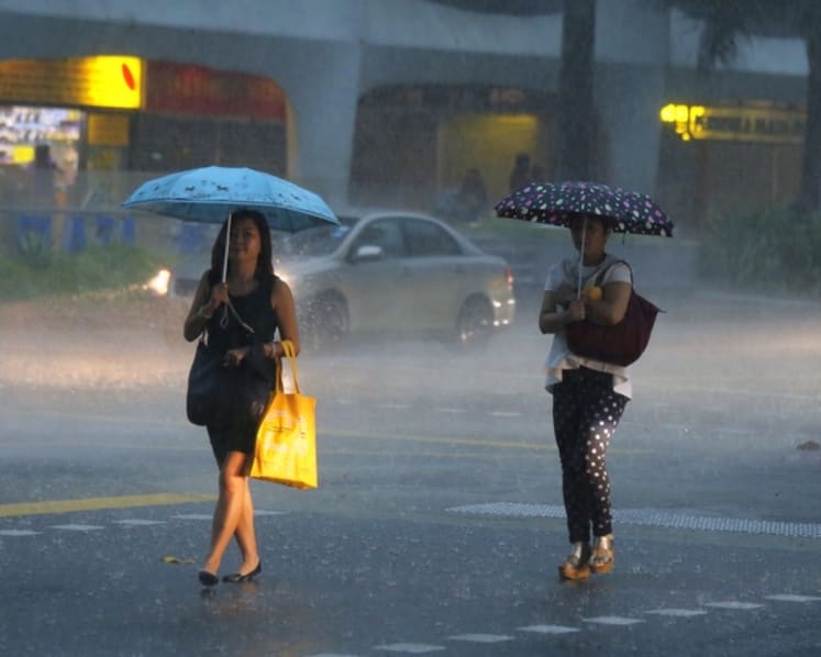 Thundery showers expected in first half of February after a few fair, warm days: Met service