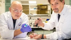 Related article image