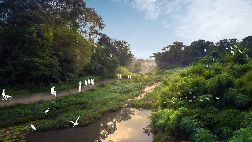 Two new trails at Clementi Nature Corridor to be progressively ready from 2023 Two new trails at Clementi Nature Corridor to be progressively ready from 2023