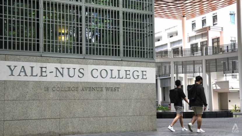 Gabungan Yale-NUS, Program Sarjana Universiti tawar pendidikan lebih fleksibel, inklusif: Chan Chun Sing