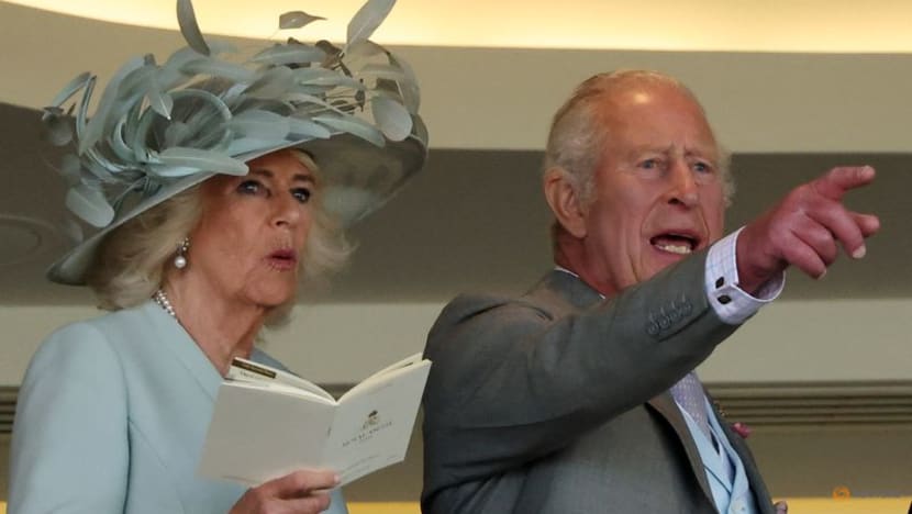 Horse racing-Docklands wins dramatic opening race at sunny Royal Ascot