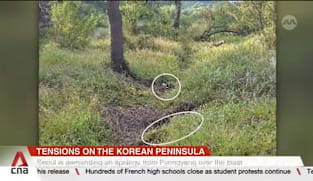 South Korea concludes mines planted by the North caused Sep 21 blast 