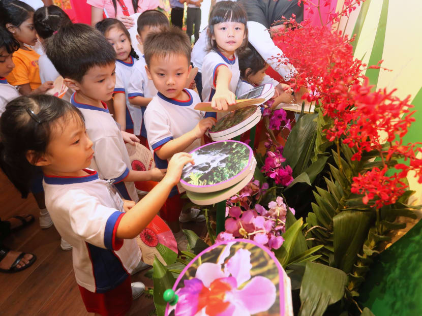 More enhancements to National Orchid Garden underway
