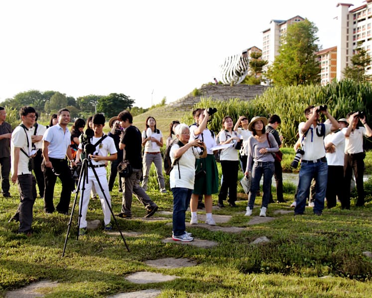 New initiatives to document S’pore’s birds