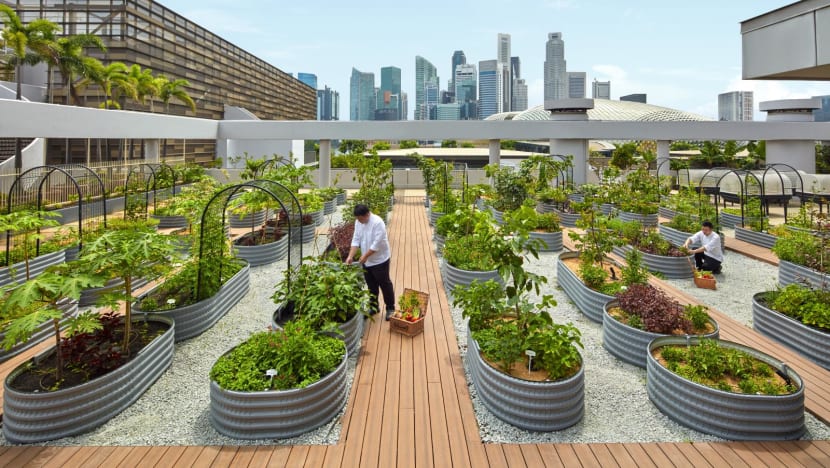 Get your green on: Go Green SG 2024 promises eco-friendly fun for all Get your green on: Go Green SG 2024 promises eco-friendly fun for all