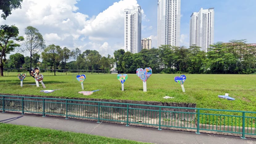 Use vacant plots, Sers for housing needs instead of clearing Dover Forest: MP Christopher de Souza