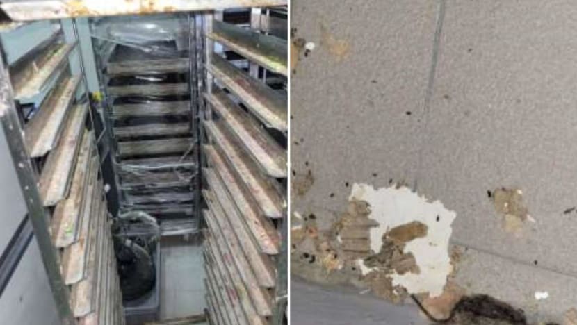 S$3,000 fine for bakery after dead mice were found on floor, among other food safety lapses