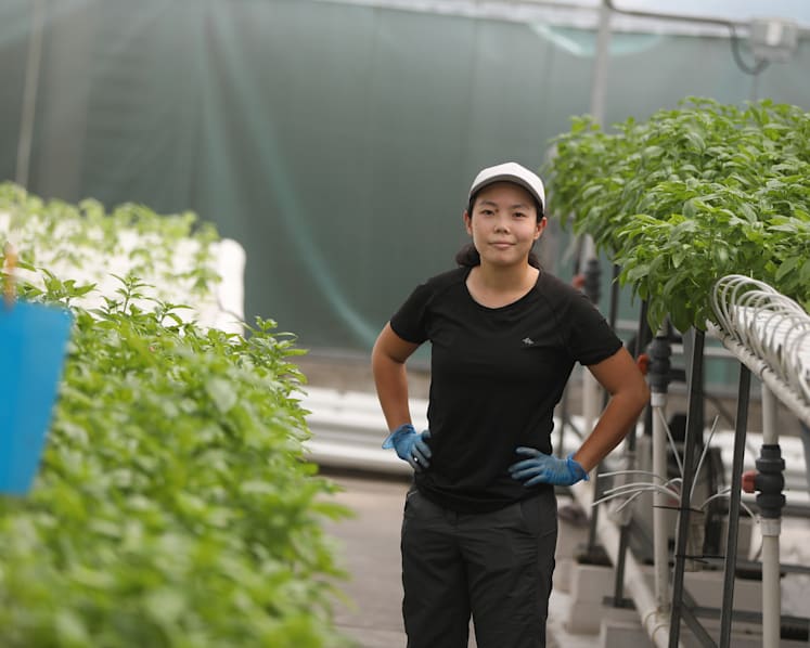 Where the Jobs Are: Shedding image of ‘shorts, boots, floppy hat’, farming sector a pull for youths as S'pore bolsters food security