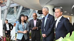Related article image